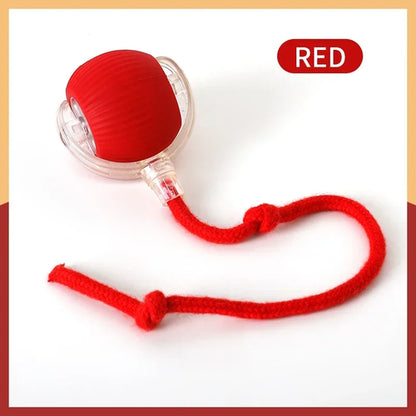 Smart Automatic Rolling Ball for Cats – Rechargeable Interactive Electric Toy